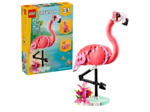 31170 Animaux sauvages : Flamant rose
