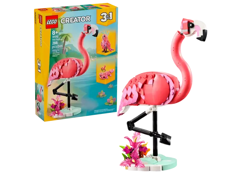 31170 Animaux sauvages : Flamant rose