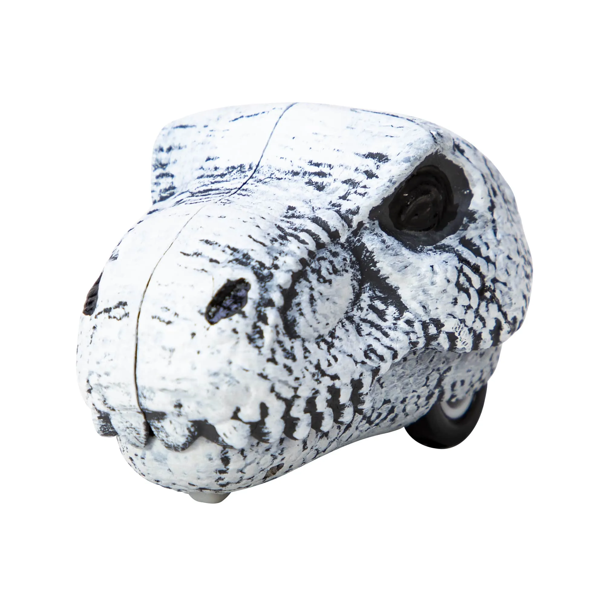 Dino Crâne à Reculez - T-Rex ou Tricératops