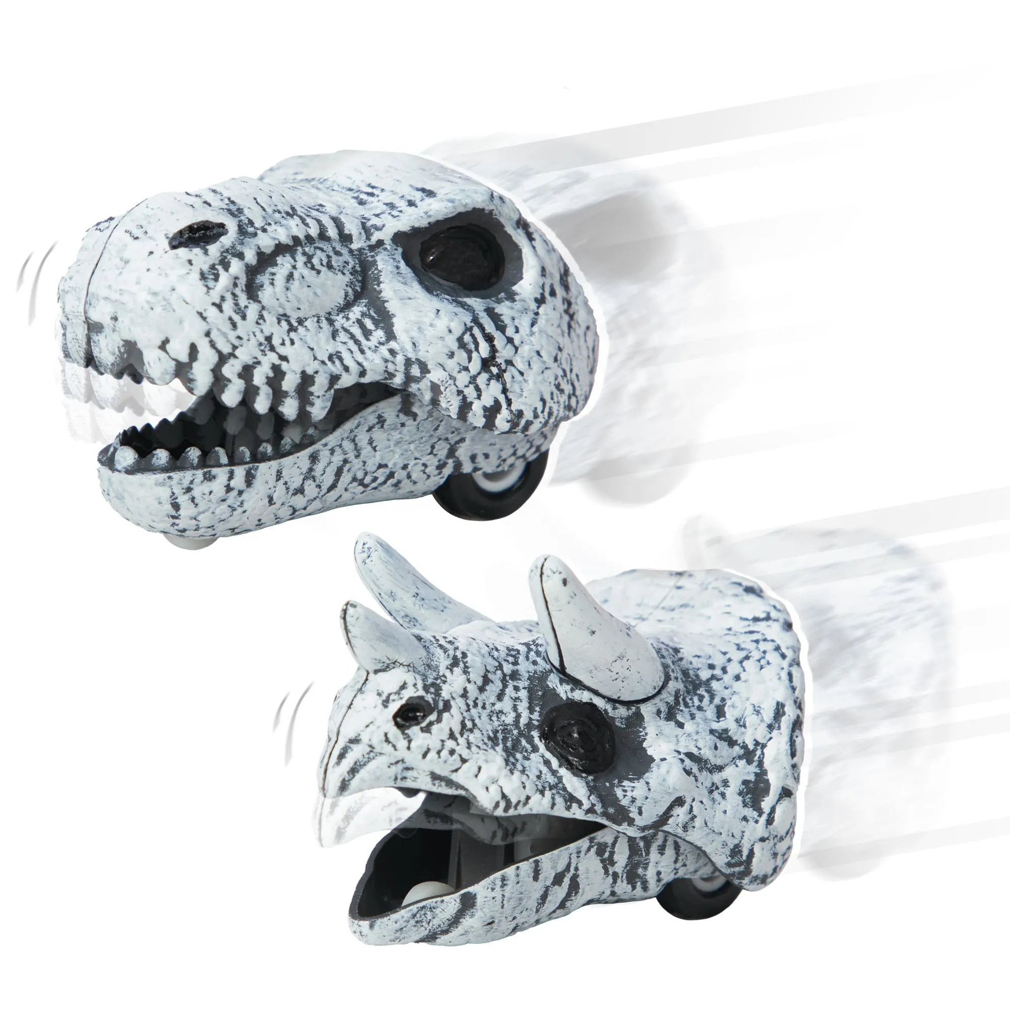 Dino Crâne à Reculez - T-Rex ou Tricératops