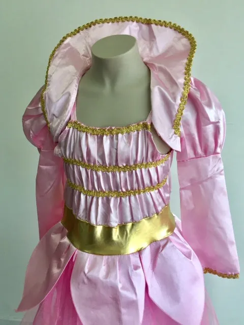 Cendrillon Robe Rose