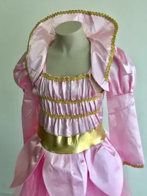 Cendrillon Robe Rose