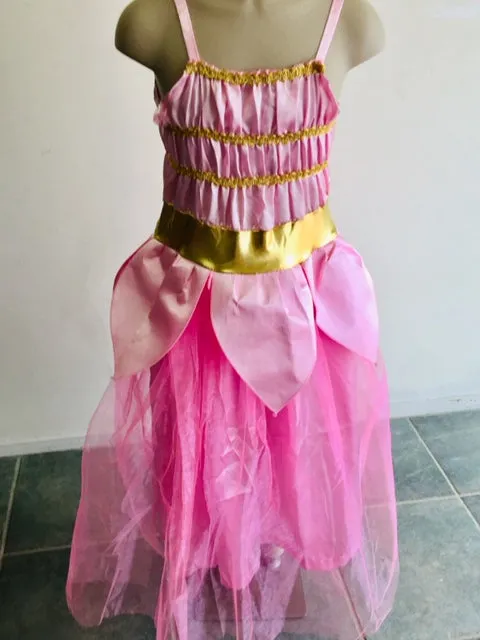 Cendrillon Robe Rose
