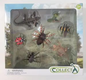 Collecta Boîte d'Insectes