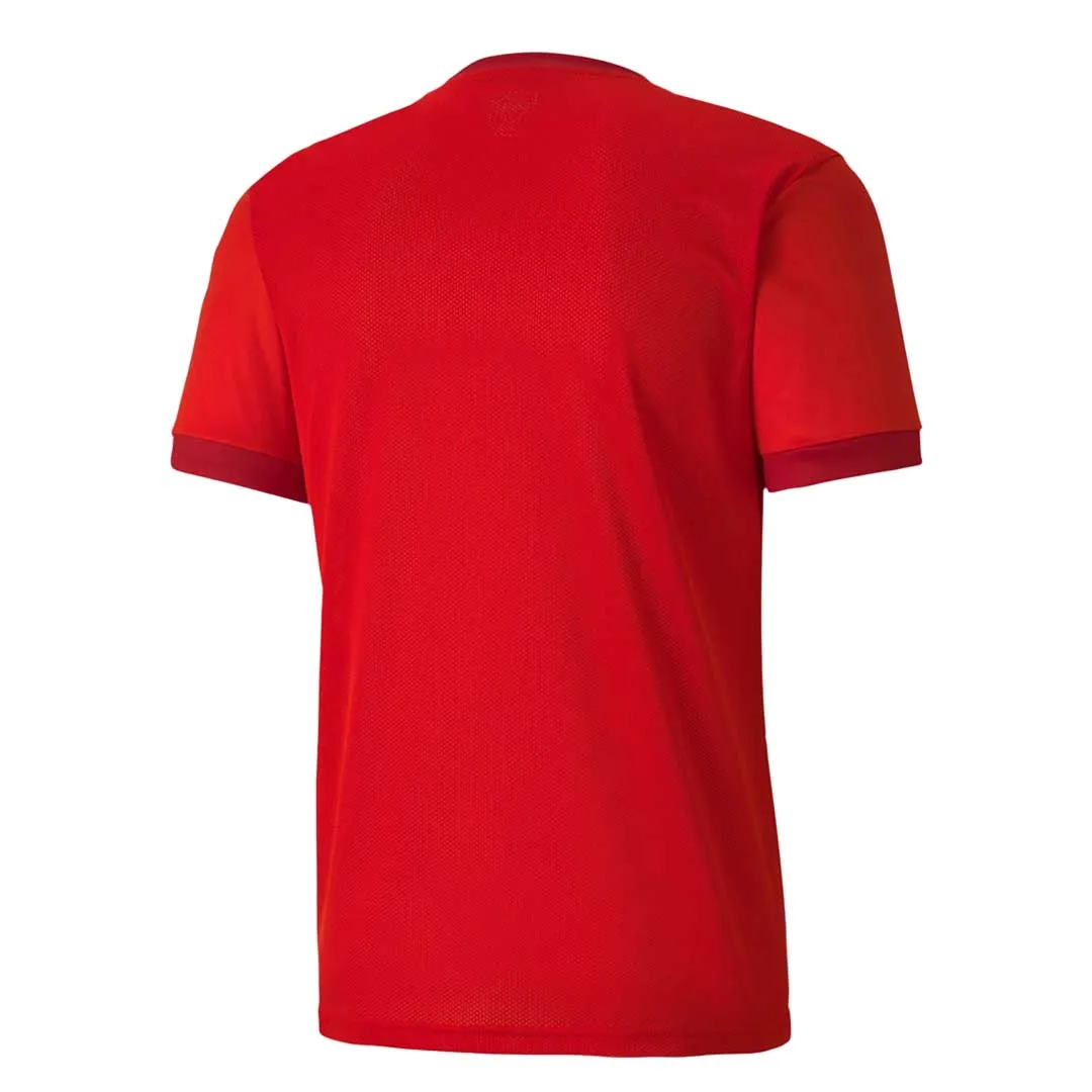 Puma - Maillot Teamgoal 23 pour Homme (704171 01)